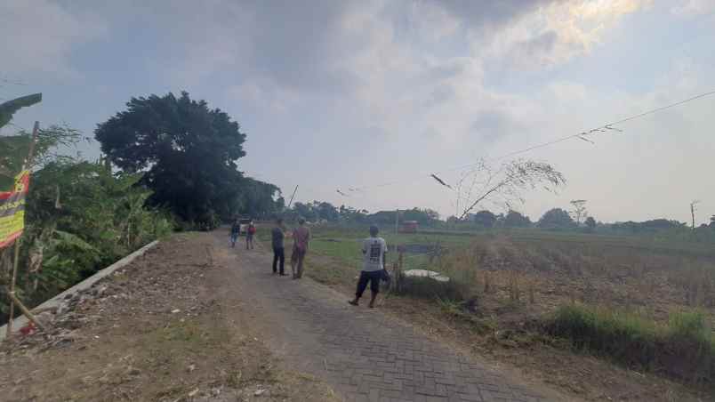 tanah mlati