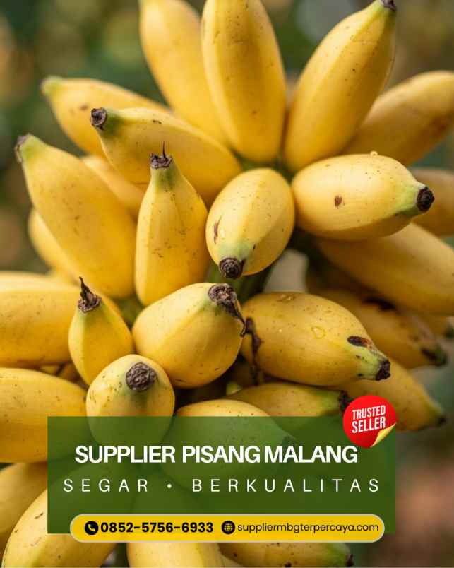 makanan dan minuman batu