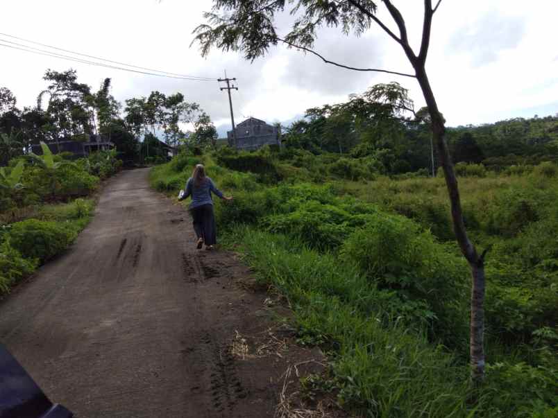 tanah poncokusumo