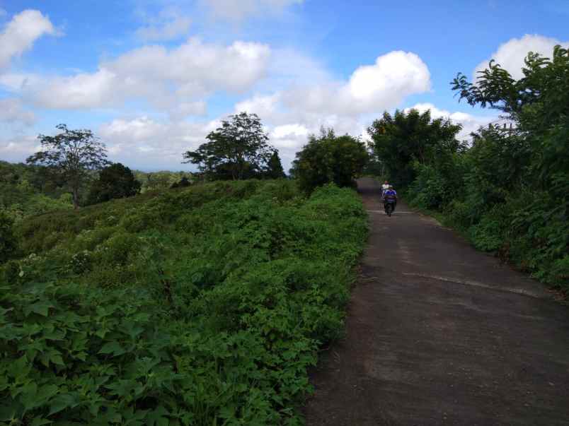 tanah poncokusumo