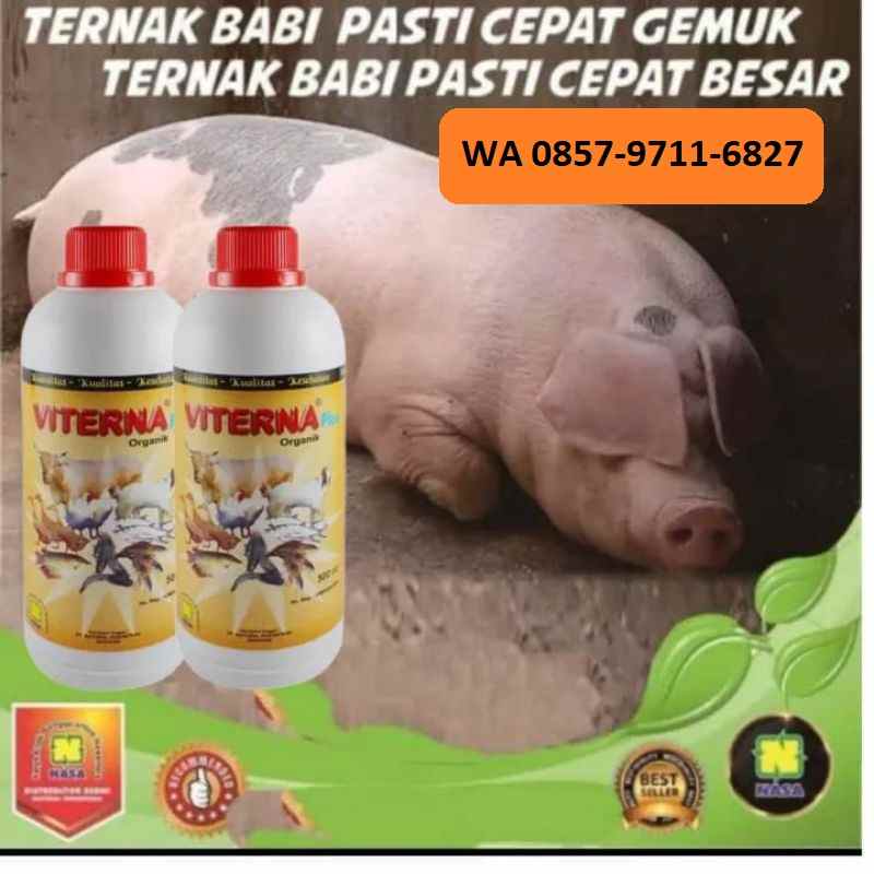 herbal dan suplemen parongpong