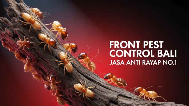 jasa lain denpasar utara