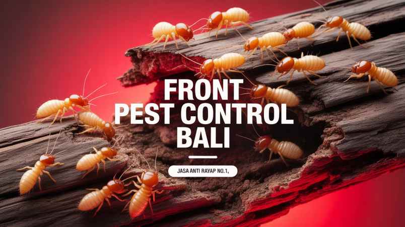 jasa lain denpasar utara