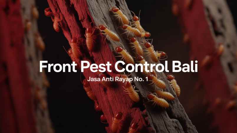 jasa lain denpasar utara