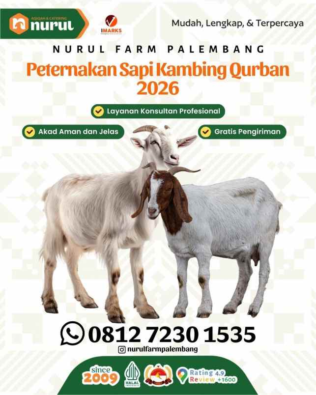 hewan peliharaan palembang