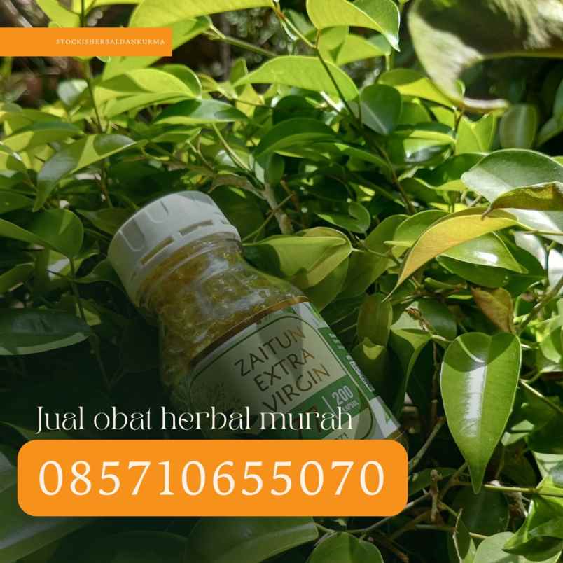 herbal dan suplemen banguntapan