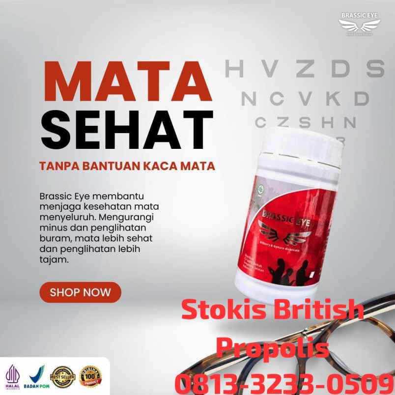 herbal dan suplemen dukuh pakis