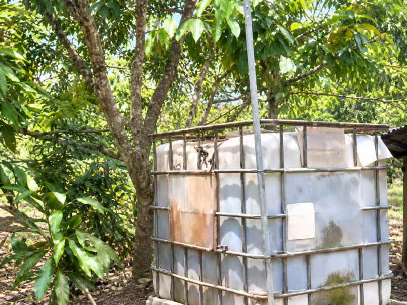 tanah pandeglang