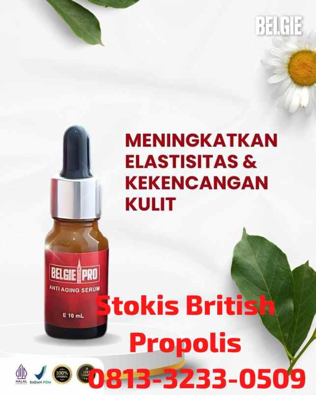herbal dan suplemen tulungagung