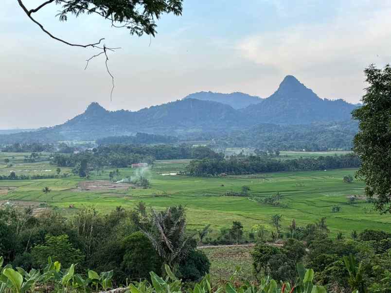 tanah tanjungsari