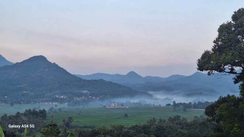 tanah tanjungsari