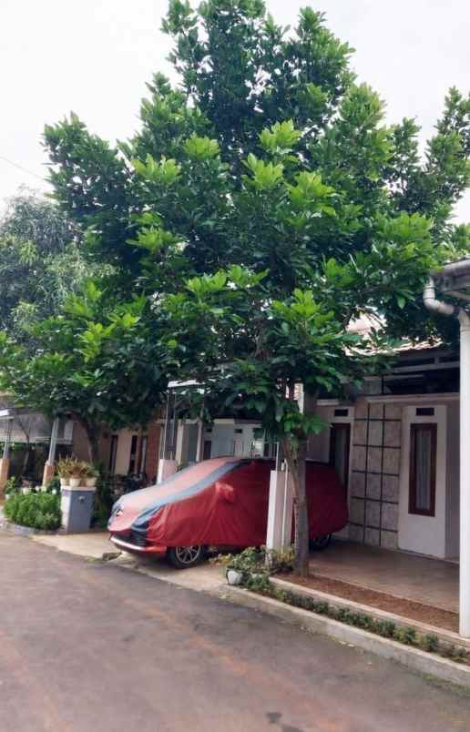 rumah beji
