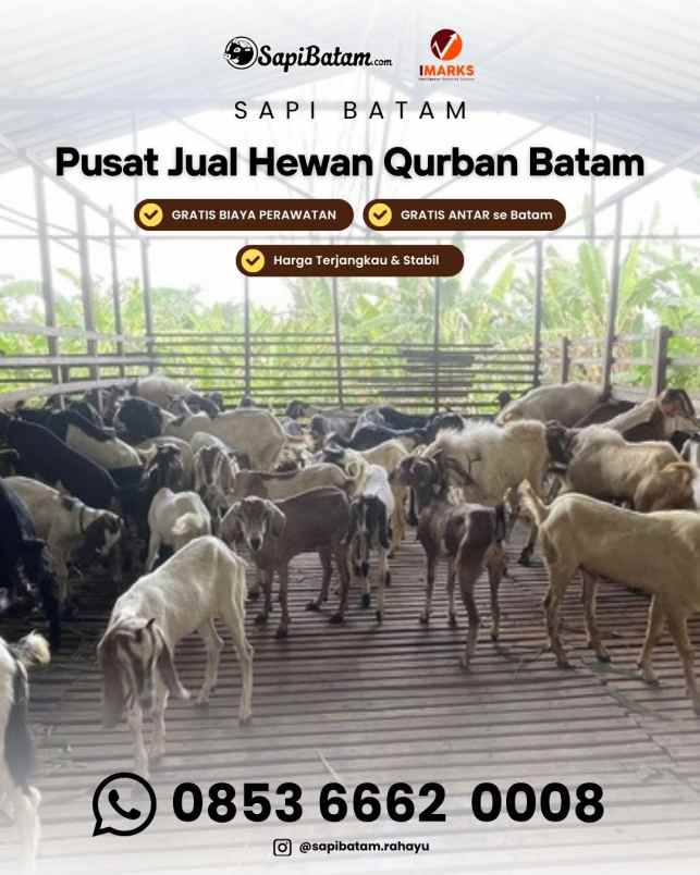 produk lain batam kota