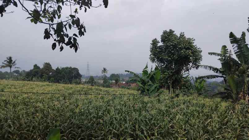 tanah banjaran