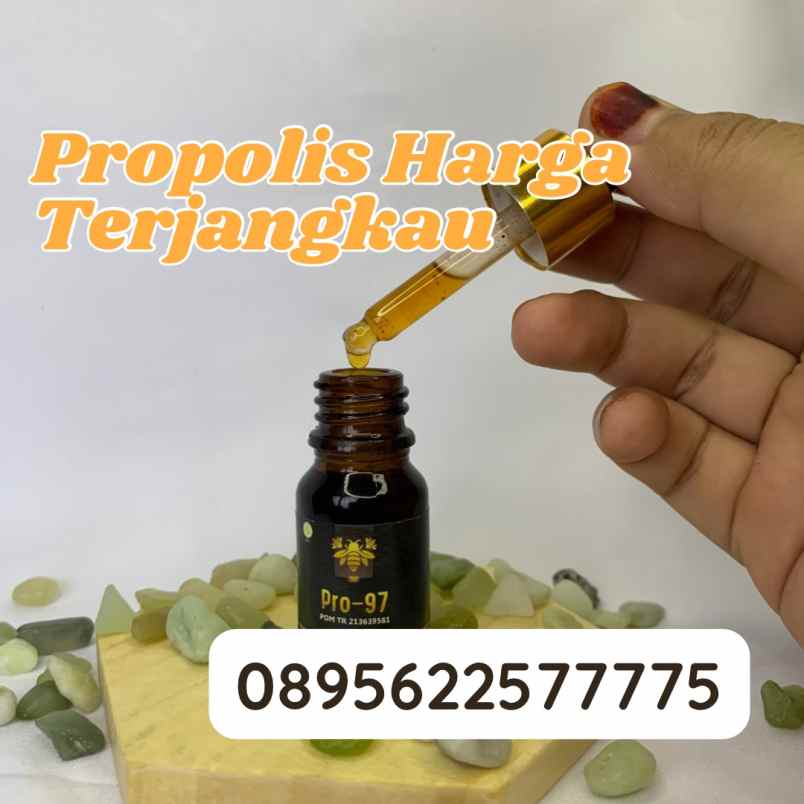 herbal dan suplemen banguntapan