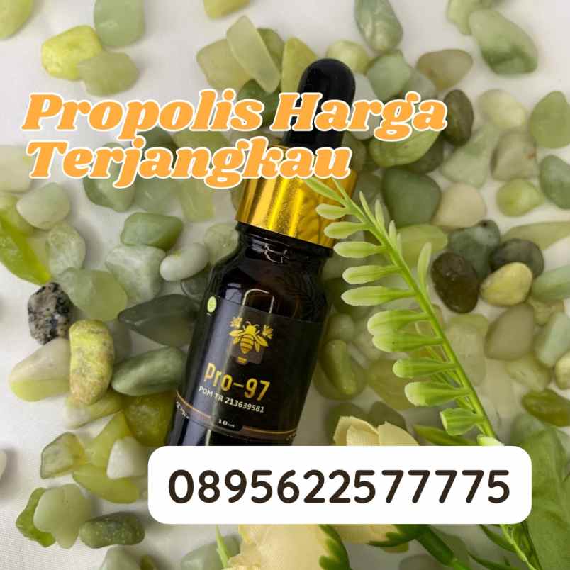 herbal dan suplemen banguntapan