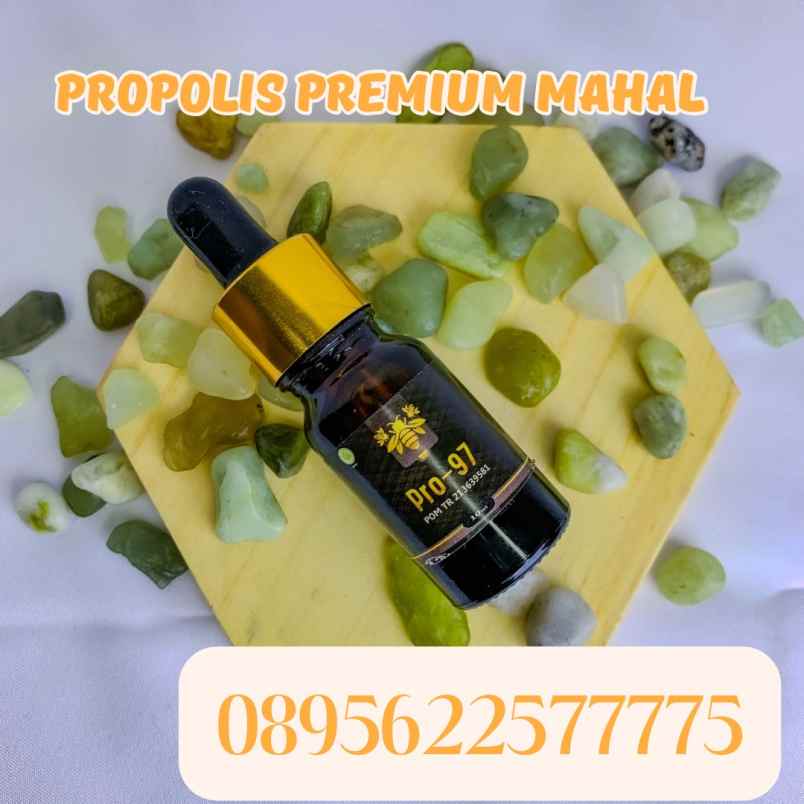 herbal dan suplemen banguntapan