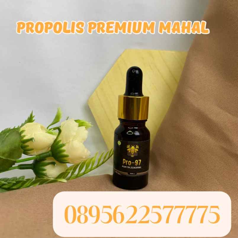 herbal dan suplemen banguntapan