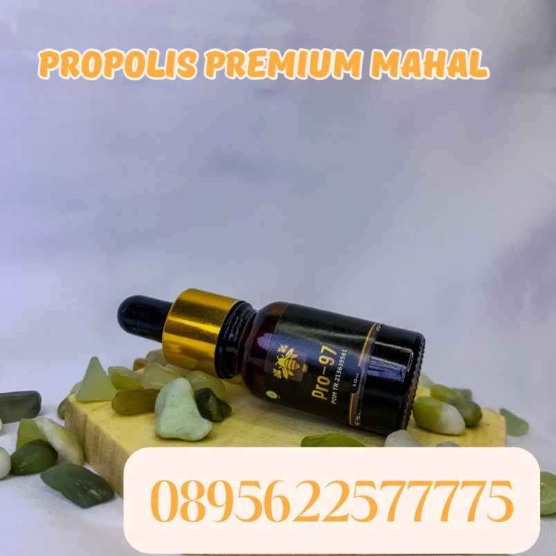 herbal dan suplemen banguntapan