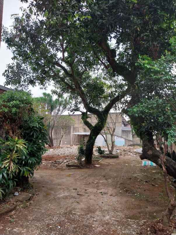 kost depok