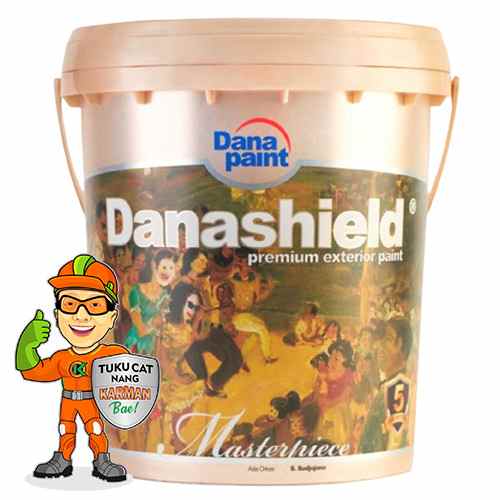 danapaint